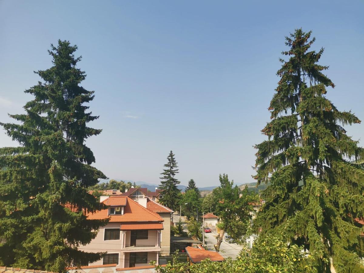 Guest House Ena Velingrad Luaran gambar
